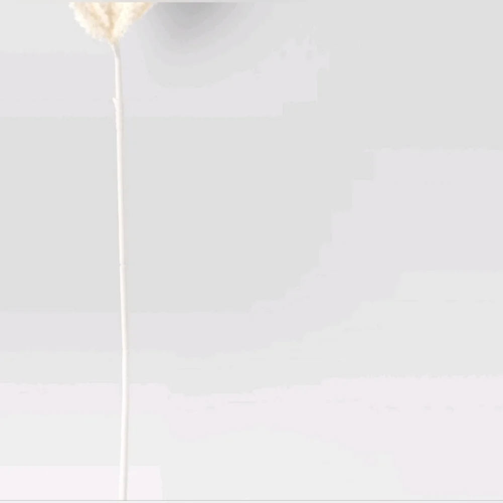Threshold Extra Large Pampas Grass Branch Beige